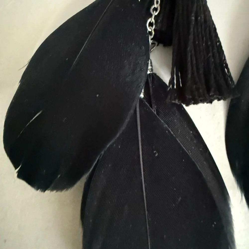 Chic Black Feather and Black  Tassel Earrings - Picture 10 of 14